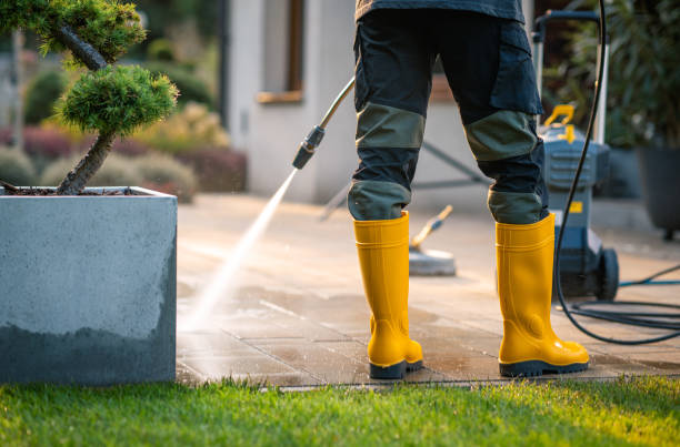 Best Exterior Home Cleaning  in Kingsford, MI